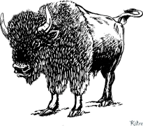 bison ပုံနှိပ်နိုင်သော ရောင်စုံစာမျက်နှာများ